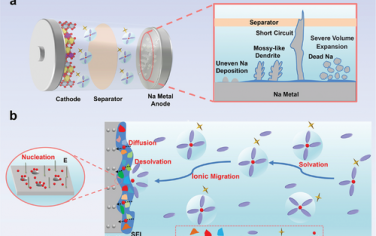 中南大学Adv Mater综述：Na金属电池阳极界面Na离子