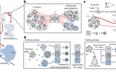 Nature Methods：使用神经最优传输学习单细胞扰动响应