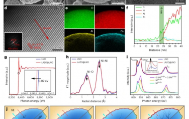 Nature Nanotechnology：由无钴LiNiO2阴极实现的高能全固态锂电池具有稳定的内外结构