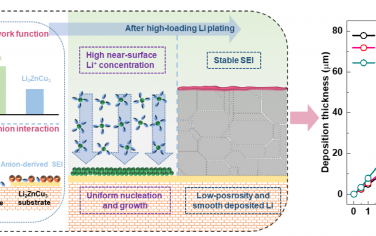 中山大学Angew：Li2ZnCu3修饰的Cu集流体调节Li金属电池沉积
