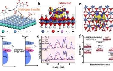 Energy Environ. Sci.质子转移介体将生物质电氧化的电流密度提高到安培级