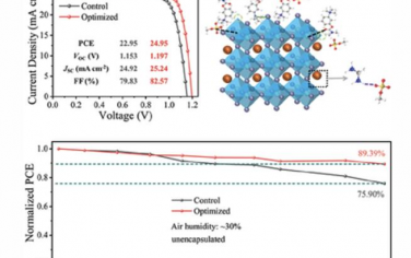 AEM：高效稳定钙钛矿太阳能电池不同带电离子和缺陷的综合钝化