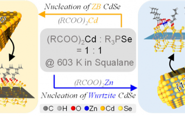 浙江大学JACS：锌烷氧酯配体合成CdSe纳米晶体