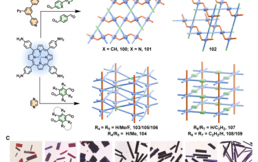 上海交大Chem：配体作为模板构筑单晶COF