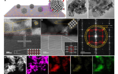 Science Advances：Ir-Sn 对位点触发关键氧自由基中间体实现高效氧化酸性水