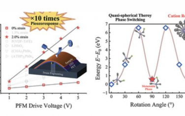 AM：新型分子多铁性材料中应变诱导的压电可调增强