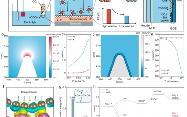 华中科技大学&海南大学Nature Commun：针尖碳包覆层实现低浓度K电解CO2制备HCOOH