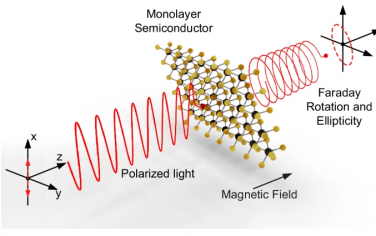 Nature Communications：原子薄半导体中的巨法拉第旋转