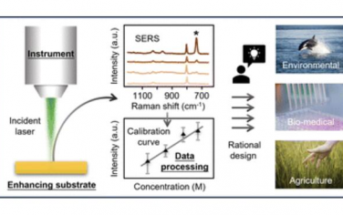 Chem. Soc. Rev.：一种定量分析表面增强拉曼光谱的方法