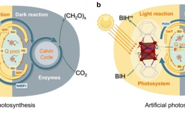 熊宇杰等Nature Commun：Cu团簇-纳米酶-辅酶构筑天然光合成体系还原CO2