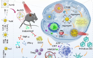 ACS Nano：AIEgens栓系的金纳米粒子可通过酶催化双重自组装实现增强的癌症特异性光学诊疗