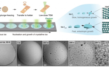 Nat. Commun.：观察非晶态薄冰膜中纳米晶冰的生长和界面动力学