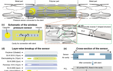 AFM：PolyCraft 聚合物-金属混合智能支架系统：心血管血压管理的未来