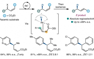 牛津大学Nature Chem：烯丙基酰基底物螯合效应实现立体选择性Suzuki-Miyaura偶联