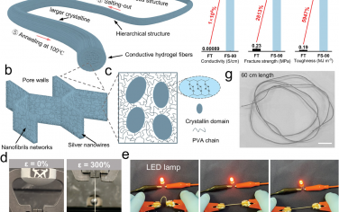 AFM：用于多维软电子的连续相分离诱导超高导电性增韧水凝胶纤维