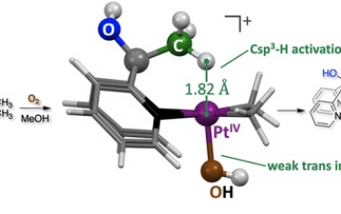 JACS：Pt(IV)位点通过质子响应配体实现活化分子内C(sp3)-H