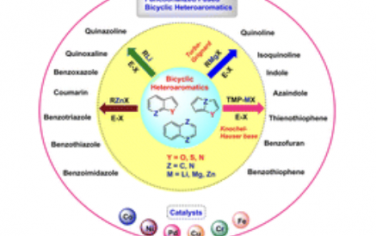 Chem. Soc. Rev.：使用有机Li、-Mg和-Zn试剂对稠合双环杂芳族化合物进行官能化的最新合成策略