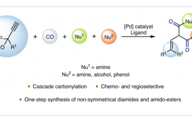 Nature Synthesis：钯催化羰基化合成二酰胺和酰胺基酯