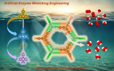 湖南大学&西安交通大学Angew：氧化吩噻嗪COF模拟辅酶Q光催化合成H2O2