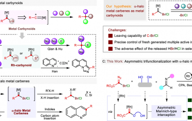 中山大学Nature Commun：α-卤化Rh-卡宾不对称多物种三重官能团化