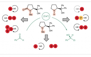 Nature Synthesis：手性脯氨酸配体介导锌催化苯甲醛烷基化反应的催化体系差异