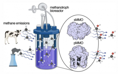 Chem. Rev.：铜和铁依赖性甲烷单加氧酶直接氧化甲烷