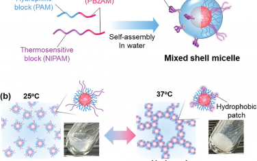AFM：基于补丁聚合物胶束的热诱导凝胶体系