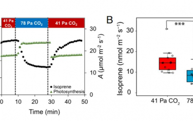 PNAS：羟甲基丁烯二磷酸的积累揭示了高CO2诱导的异戊二烯释放抑制的MEP途径调控