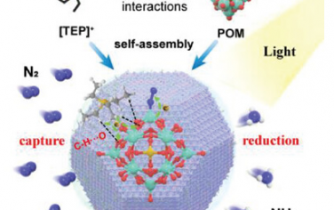 西安交通大学Adv Mater：POM超结构光催化固氮