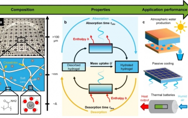 Nat Commun：基于物理学的水凝胶水分捕获特性预测