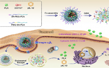 ACS Nano：TME激活的纳米颗粒可介导免疫基因治疗和M2巨噬细胞靶向抑制以实现协同的癌症免疫治疗