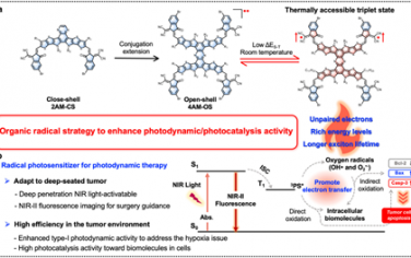 Angew：开壳有机自由基在增强近红外光激活光敏剂抗肿瘤光催化反应中的作用