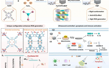 Angew：具有立体定向锚定和卟啉空间分离的工程化MOF用于增强超声介导的焦亡和癌症免疫治疗