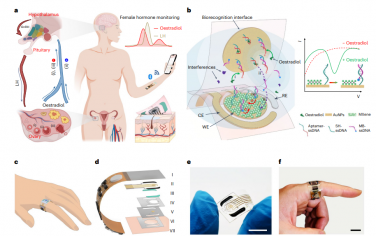 Nat. Nanotechnol.：用于非侵入性女性激素监测的可穿戴适体纳米生物传感器