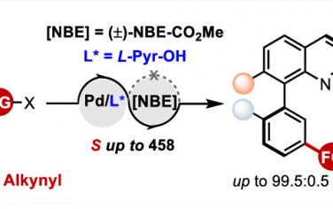 余金权&上海有机所王鹏JACS：Pd(II)催化间位C-H键阻转异构