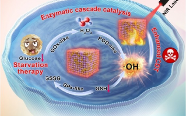 ACS Nano：纳米酶可作为肿瘤能量稳态干扰物以增强级联催化治疗