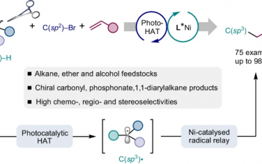 Nature Catalysis：Ni催化-光催化实现烯烃不对称双官能团化