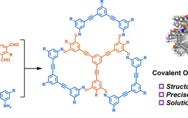 兰州大学JACS：设计合成三环有机COF