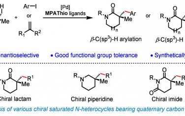 余金权JACS：立体选择活化内酯β-C(sp3)-H合成手性杂环化合物