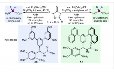 Nature Synthesis：配体使钯催化对映选择性合成α-季氨基和乙醇酸衍生物