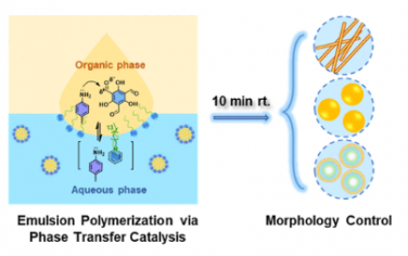 JACS：具有受控形态的共价有机框架的快速合成：通过相转移催化机制的乳液聚合方法