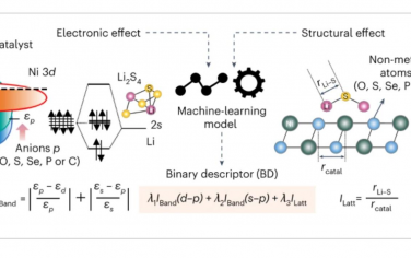 Nature Catalysis：机器学习辅助设计二进制描述符以破译硫还原动力学的电子和结构影响