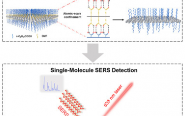 郭林等Chem：原子层Ag纳米片SERS检测单分子