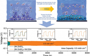 AEM：利用亲锌疏水电解质添加剂抑制水反应性打造卓越的水系锌金属电池