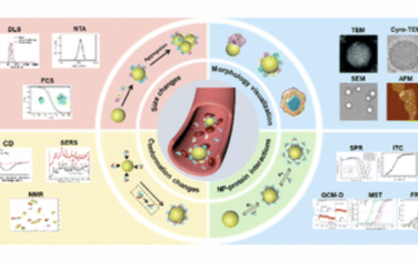 Chem. Soc. Rev.：纳米材料周围蛋白质冠的原位表征技术
