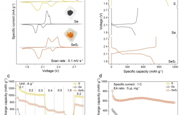 Nat Commun：揭示 SeS2 正极的电化学过程以开发高性能非水系锂-硫电池