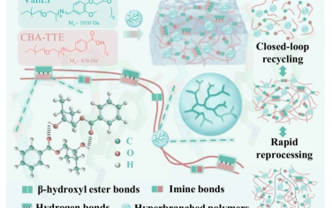 Nat Commun：具有超支化拓扑结构的坚韧环氧超分子热固性塑料的闭环回收