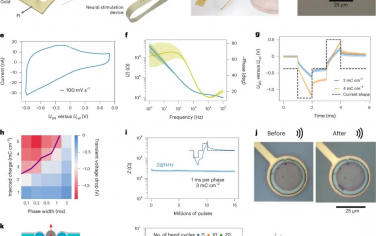 Nature Nanotechnology：高精度和高分辨率神经接口