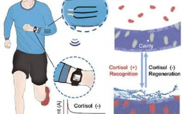 AFM：可穿戴和再生电化学织物传感系统，用于实时压力管理