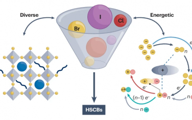 Nature Review Chem：通过卤化物构筑电池